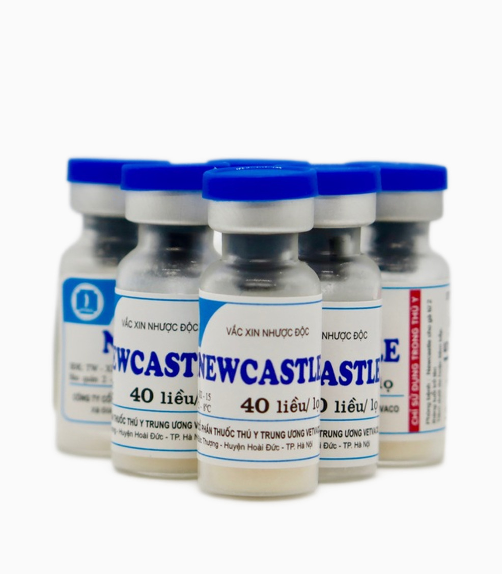 Newcastle Disease Va